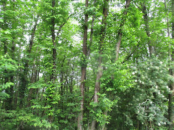 terrain à Siorac-en-Périgord (24)