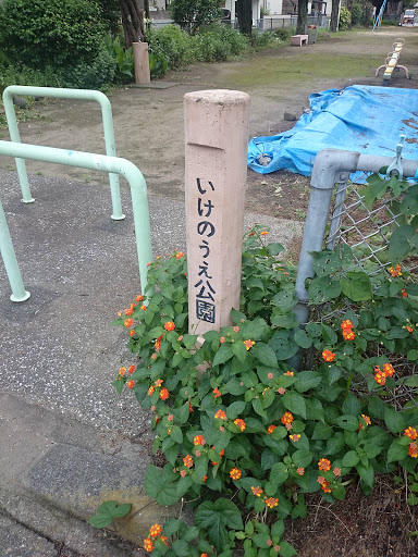 いけのうえ公園