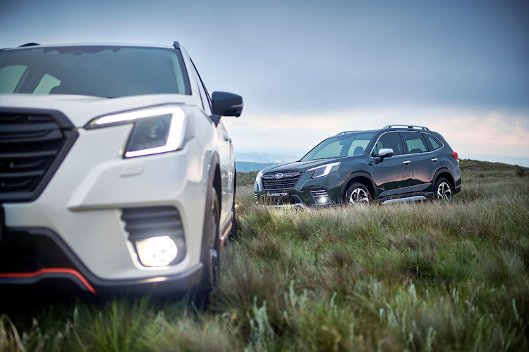 Buyers can have the Forester in Sport or Premium guises.