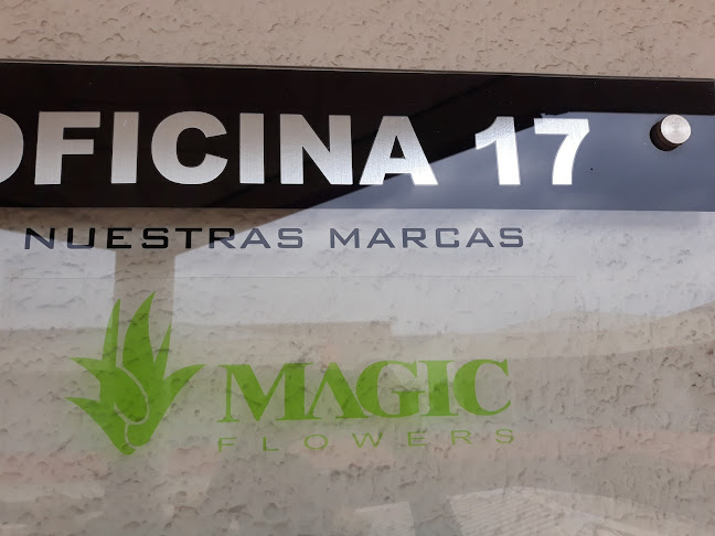 Magic Flowers - Guayaquil