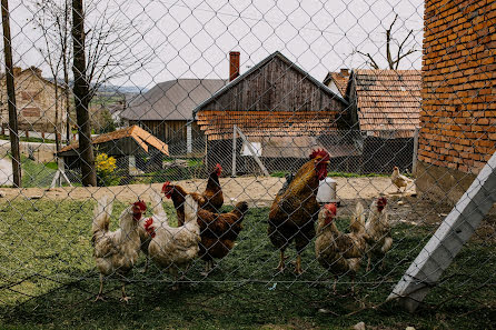 Fotógrafo de bodas Berenika Mleczko-Tatkowska (berenika). Foto del 31 de mayo 2022