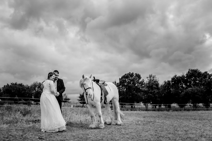 Fotógrafo de bodas Violeta Pefticheva (pefticheva). Foto del 26 de enero 2018