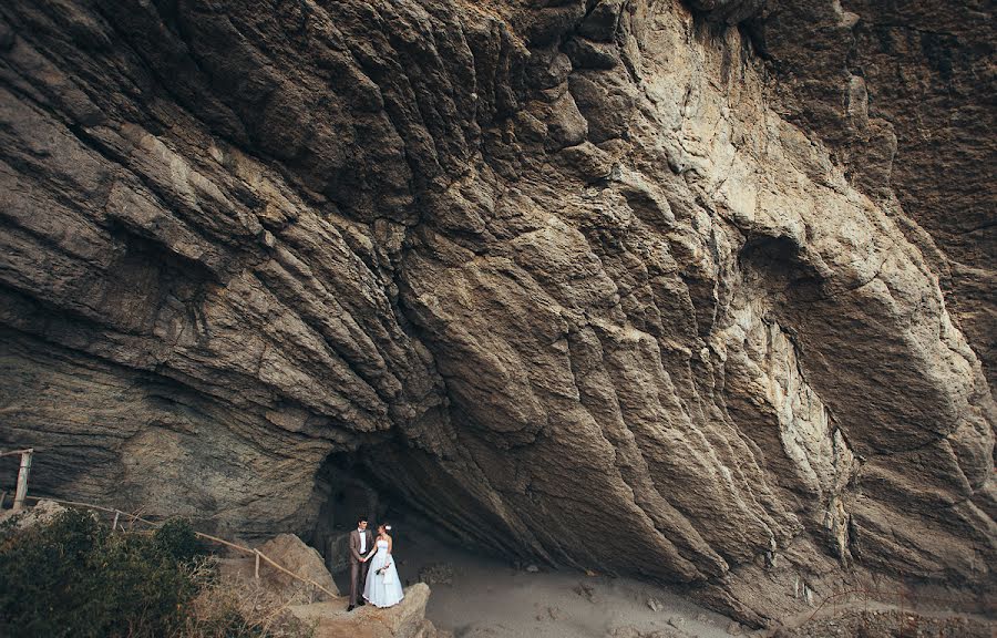 Fotografo di matrimoni Nikolay Kharlamov (nikharlamov). Foto del 7 dicembre 2015