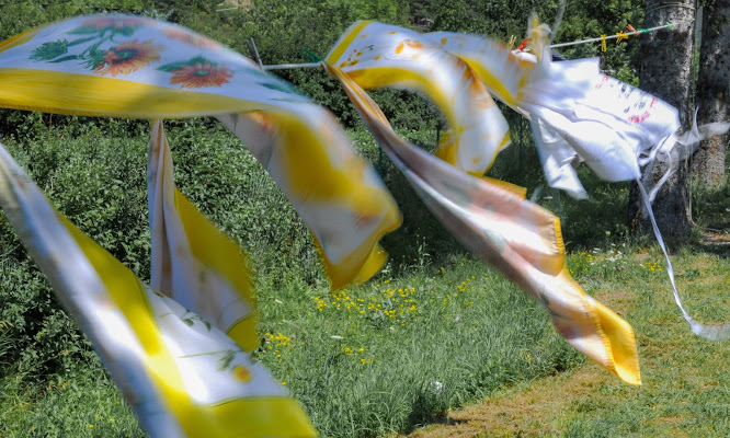 bucato nel vento e fiori nei prati di Paolo Scabbia