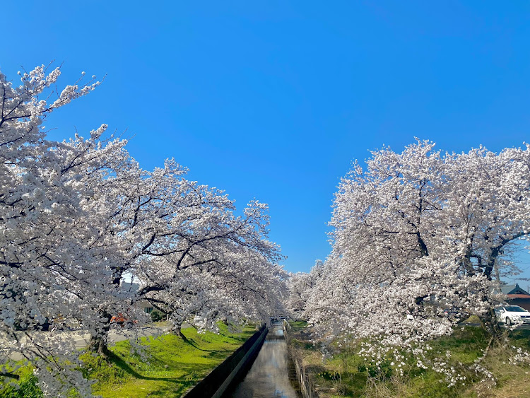 の投稿画像1枚目