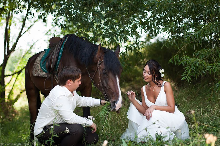 Fotografo di matrimoni Vladislav Malinkin (malinkin). Foto del 16 aprile 2013