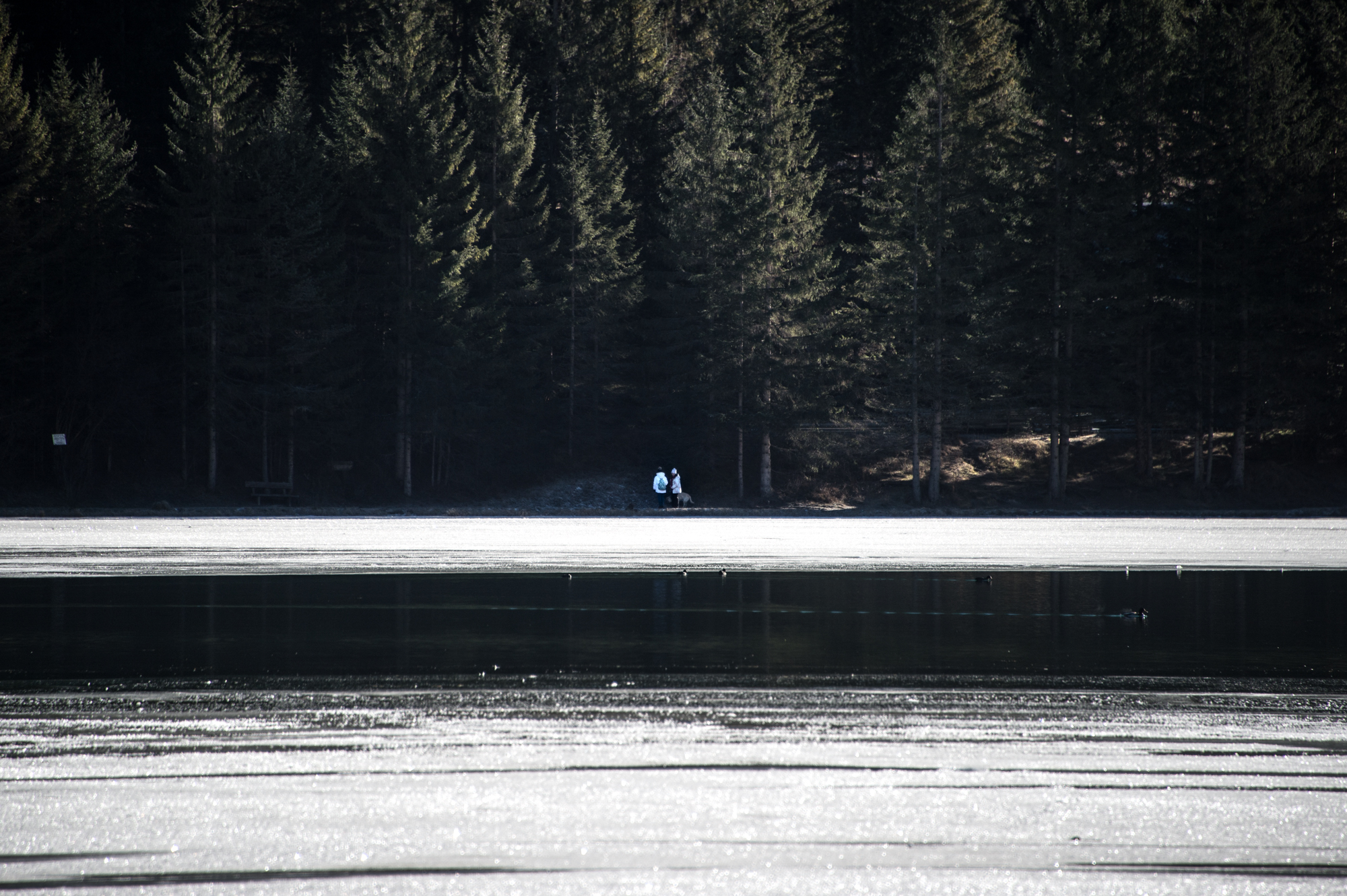 La passeggiata intorno al lago di si