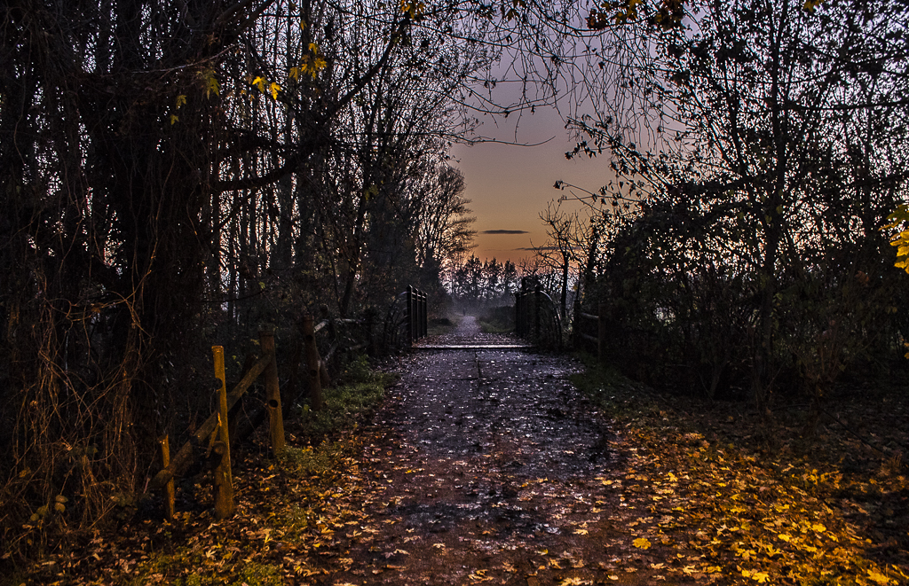 Nel mezzo del cammino di nostra vita, mi ritrovai in una selva oscura... di Mark_Bert_ph