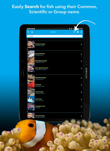 免費下載書籍APP|Coral Sea Fish Guide app開箱文|APP開箱王