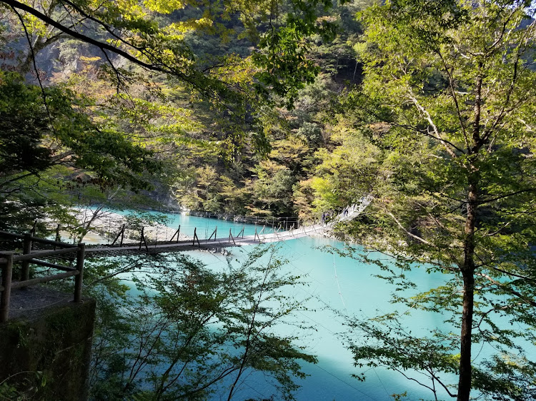 ヴェルファイアの１年の振り返り・滋賀県メタセコイヤ・寸又峡・小國神社・浜名湖に関するカスタム事例の投稿画像2枚目