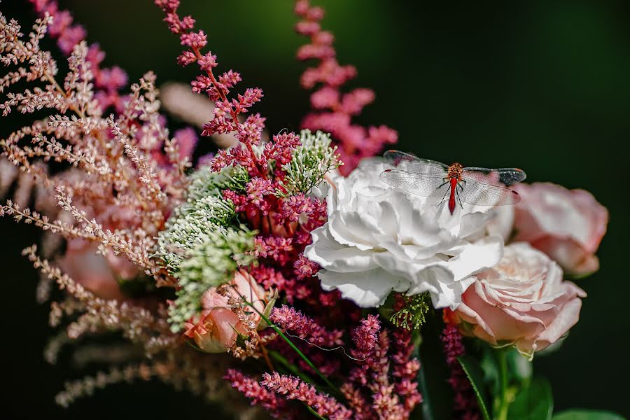 Fotógrafo de casamento Ekaterina Zakharkova (kettiket). Foto de 9 de setembro 2017