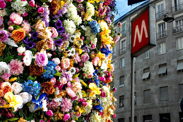 Primavera in città di CoCoStE