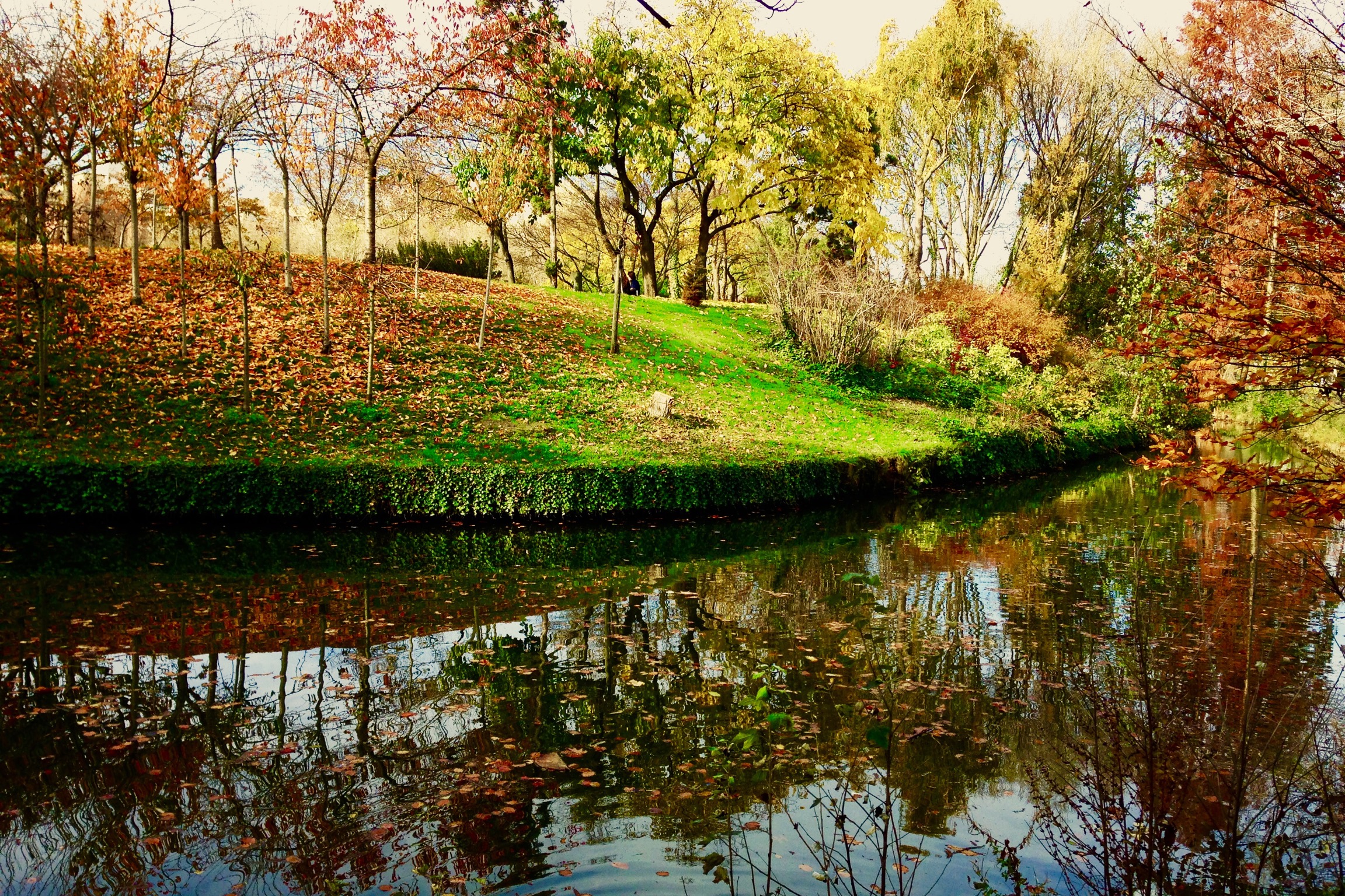 Autunno a Tolosa di Little_S