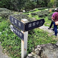 台灣農林熊空茶園