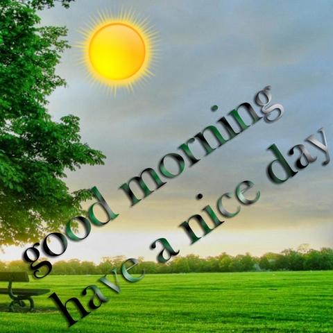 Good morning Good Afternoon images wishes