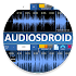 Audiosdroid Audio Studio DAW1.3.0.0
