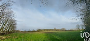 terrain à Saint-Christophe-du-Ligneron (85)