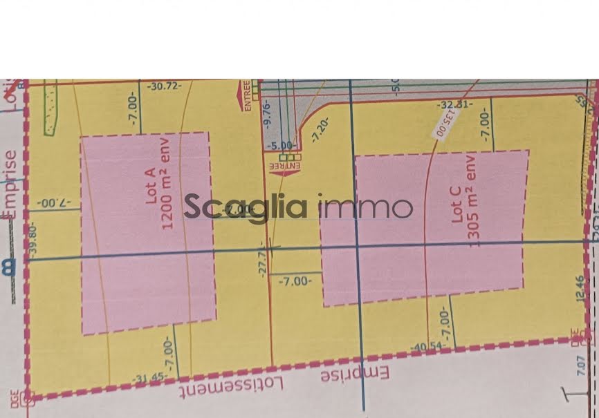 Vente terrain  1300 m² à Cuttoli-Corticchiato (20167), 218 000 €