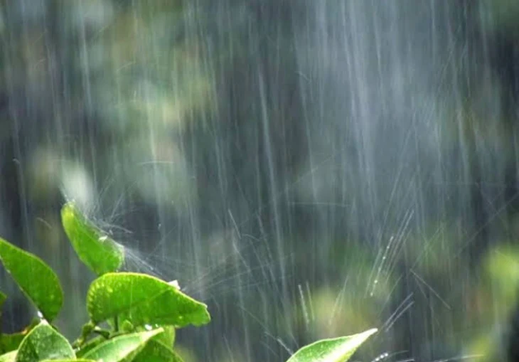 「雨の日」のメインビジュアル