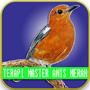 Master Therapy Birds Anis Merah 4.0 Icon