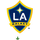 LA Galaxy New Tab