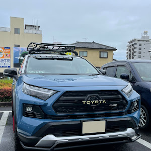 RAV4 AXAH54