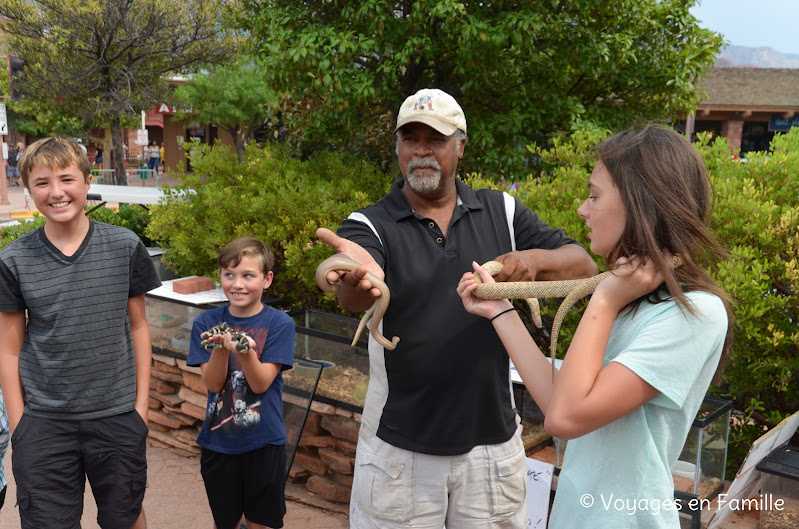 serpents, sedona