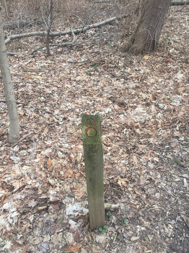 Trail Marker 8