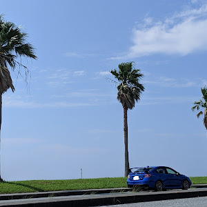 WRX STI VAB