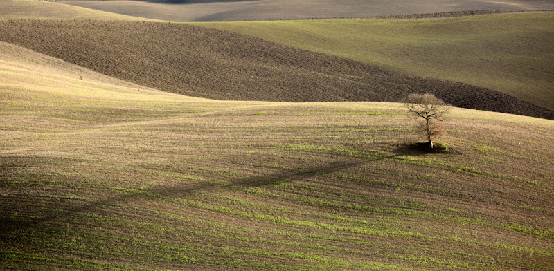  me and my shadow... di MauMarty