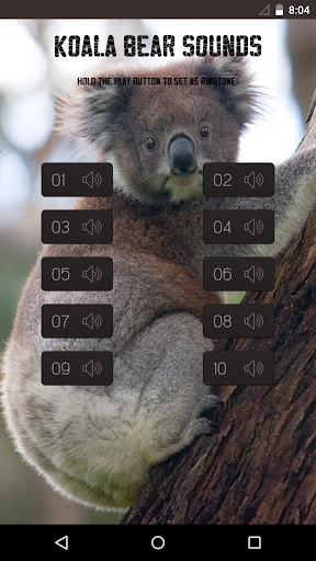 免費下載音樂APP|Koala Bear Sounds app開箱文|APP開箱王