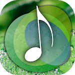 Ambience EX - White noise helps you relax Apk