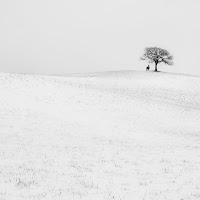 neve in collina di 