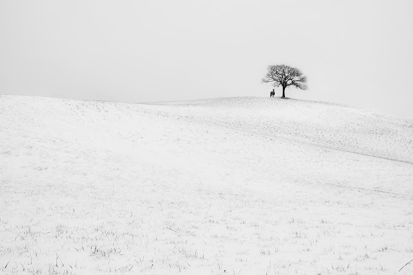 neve in collina di fabio_sartori