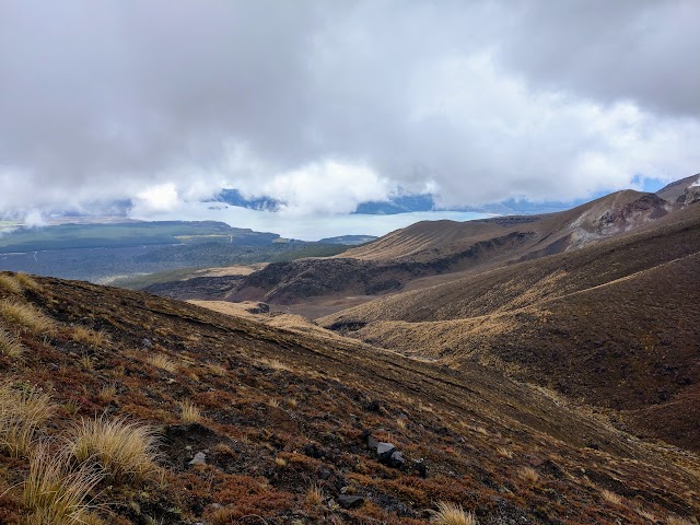 Tongariro Alpine Crossing Lake Rotoaira