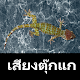 Download เสียงตุ๊กแกร้อง For PC Windows and Mac 1.0.0