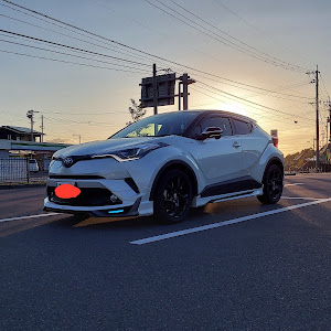 C-HR ZYX10