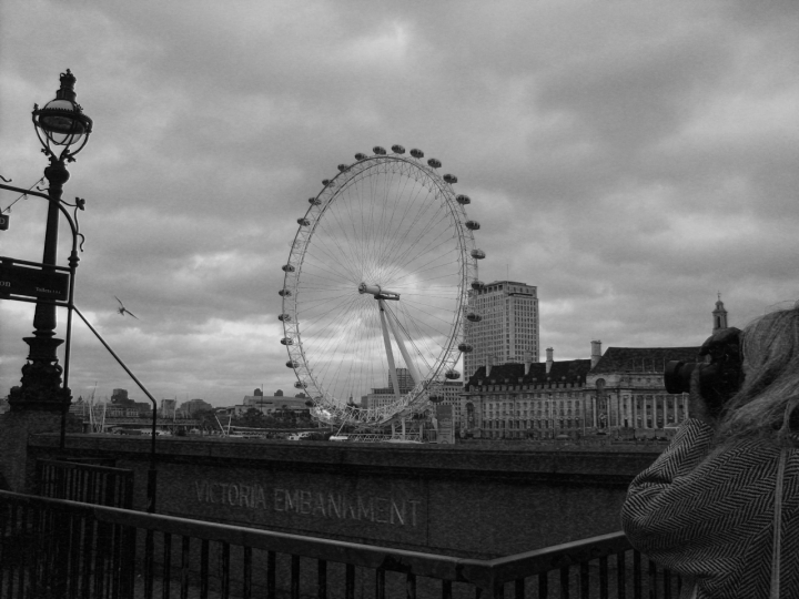 Il ponte panoramico di alfy07