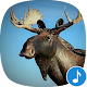 Download Appp.io - Moose Sounds For PC Windows and Mac 1.0.2