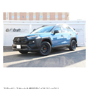 RAV4 AXAH54