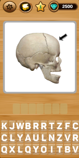 Descobrindo Anatomia