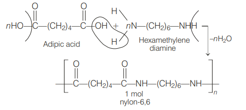 Solution Image