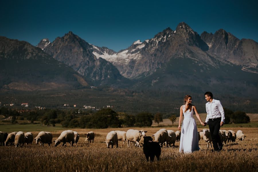 Fotografo di matrimoni Marcin Sosnicki (sosnicki). Foto del 3 ottobre 2017