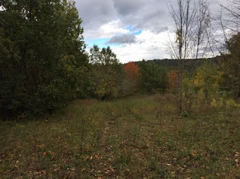 terrain à Prignac-et-Marcamps (33)