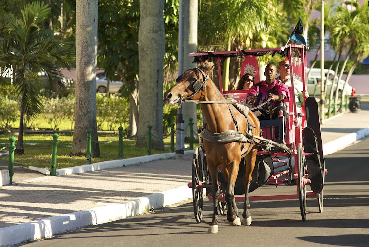 Go on an enjoyable horse drawn surrey ride through Paradise Island.