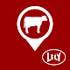 Download Lely T4C InHerd For PC Windows and Mac 2.6.0.0