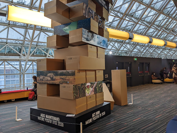 A 5-metre tall Jenga tower reflects the perilous state of the planet. Created by the WWF, each brick represents the damage people do to nature, putting the tower at risk of falling down.