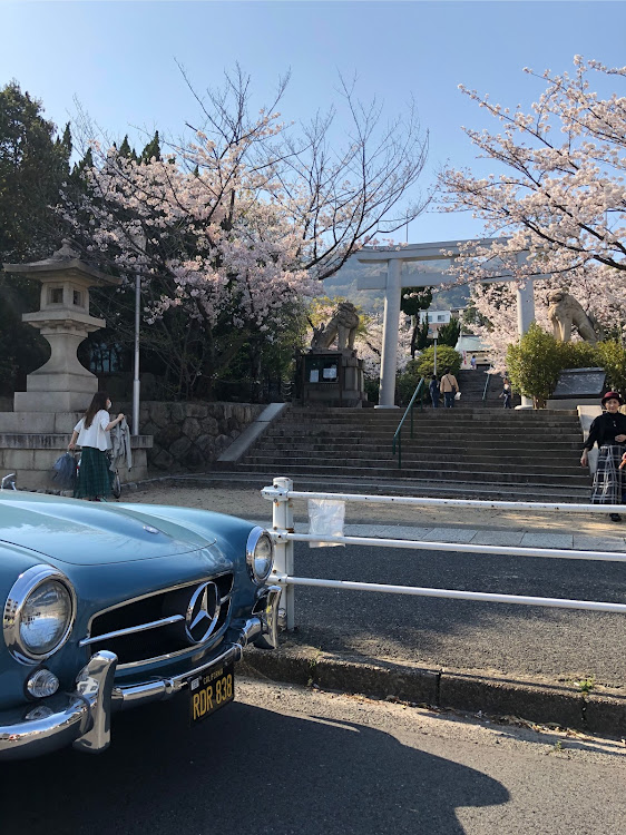 190SLの190SL・クラシックカー・メルセデス・ベンツ・旧車・桜と愛車に関するカスタム事例の投稿画像2枚目