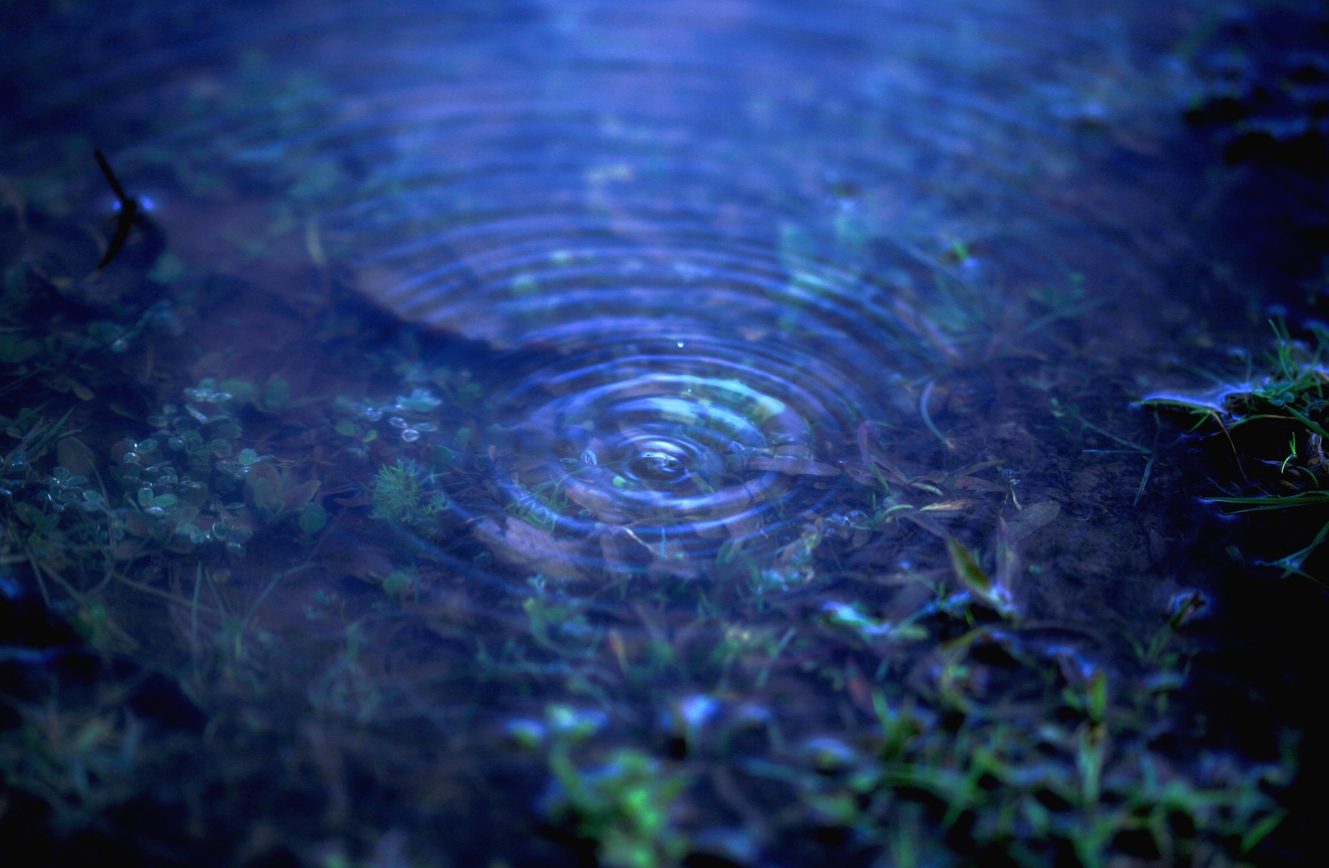 Acqua azzurra, acqua chiara di Fe140