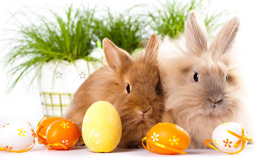 Easter Bunny Wallpaper